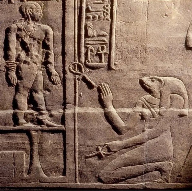 上图：古埃及神话中的生育女神海奎特（Heqet），是一个蛙头人身或者是头上有只蛙的女神。古埃及妇女在产期将至时，都要敬拜海奎特的神像，以保佑分娩顺利。